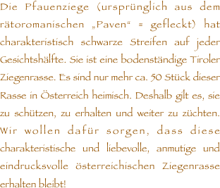 Die Pfauenziege (ursprünglich aus dem rätoromanischen „Paven“ = gefleckt) hat charakteristisch schwarze Streifen auf jeder Gesichtshälfte. Sie ist eine bodenständige Tiroler Ziegenrasse. Es sind nur mehr ca. 50 Stück dieser Rasse in Österreich heimisch. Deshalb gilt es, sie zu schützen, zu erhalten und weiter zu züchten. Wir wollen dafür sorgen, dass diese charakteristische und liebevolle, anmutige und eindrucksvolle österreichischen Ziegenrasse erhalten bleibt!